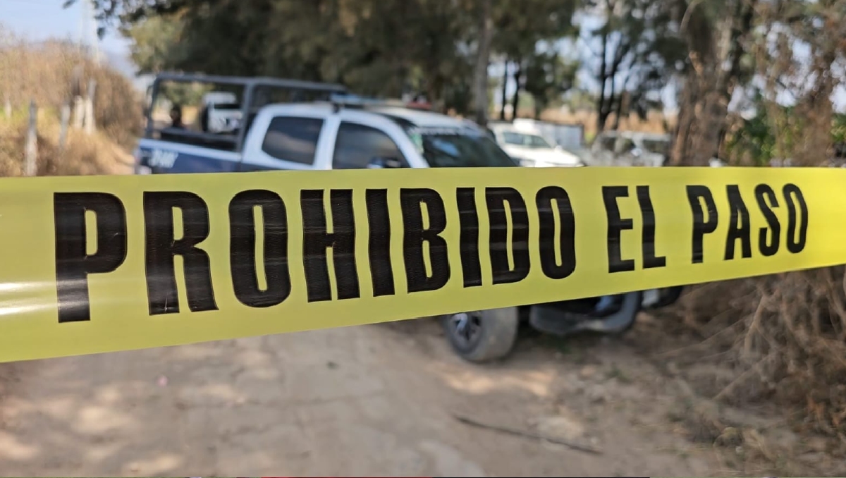 Comisión de búsqueda de personas, junto con un escuadrón canino, trabaja en la prospección del predio (Foto: Juan Carlos Munguía)