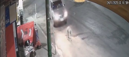 El conductor iba en estado de ebriedad y bajo efectos de drogas al momento del incidente.