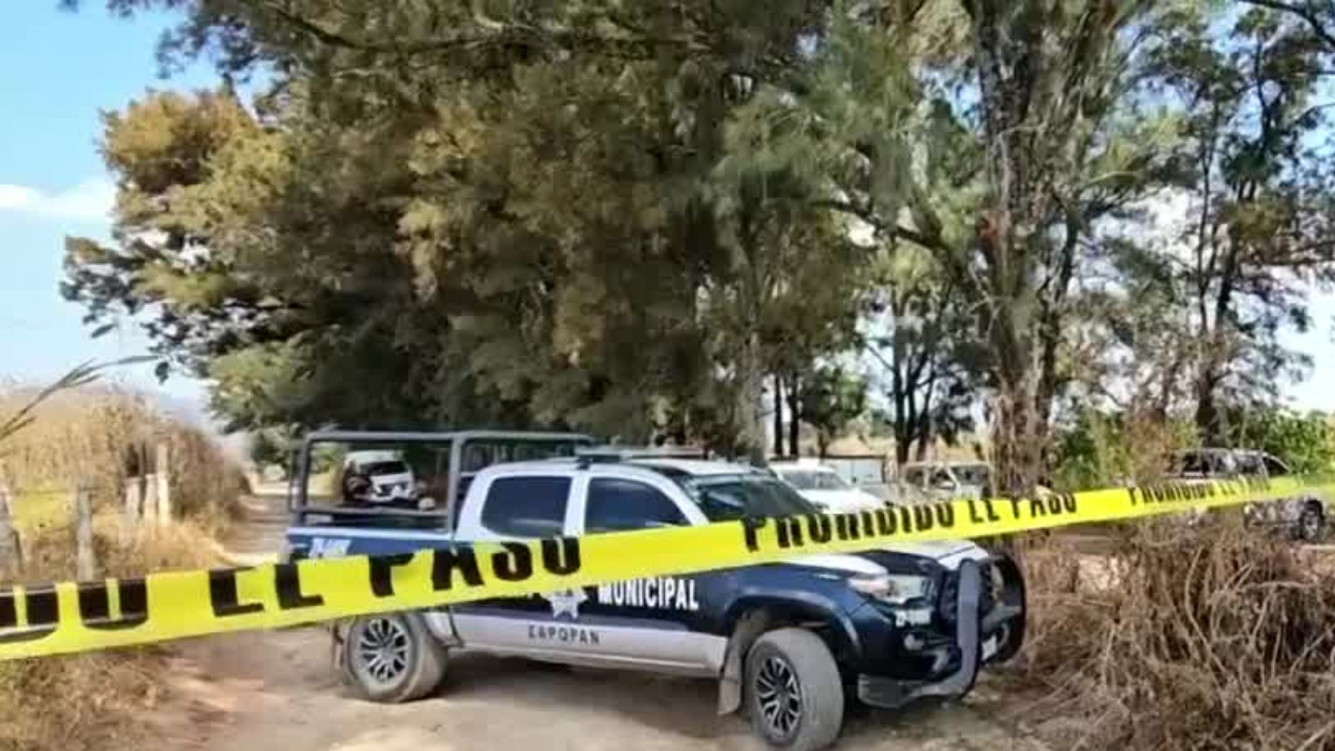 Continúan trabajos de prospección en una fosa cerca a Nextipac, Zapopan