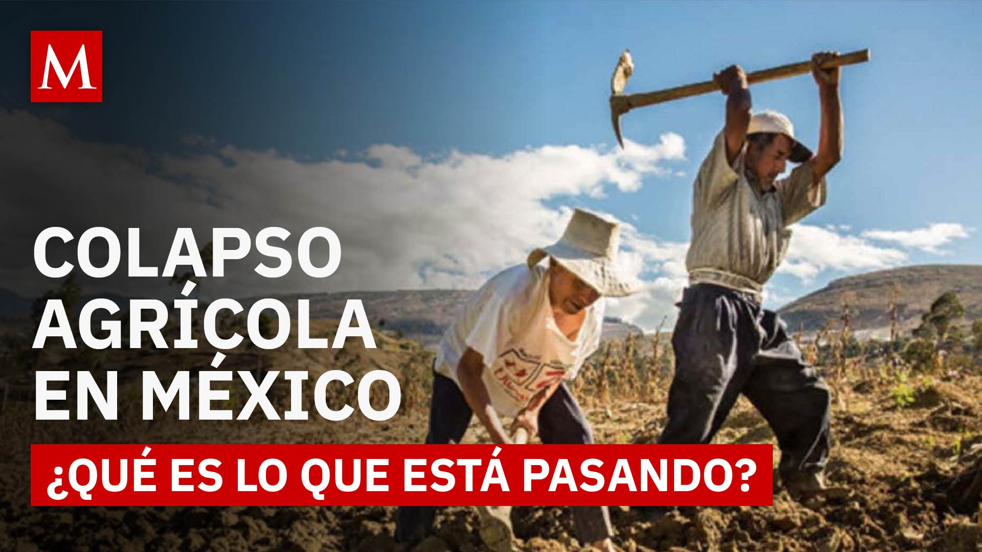 Crisis agrícola en México: costos al alza, precios a la baja y un sector al borde del colapso