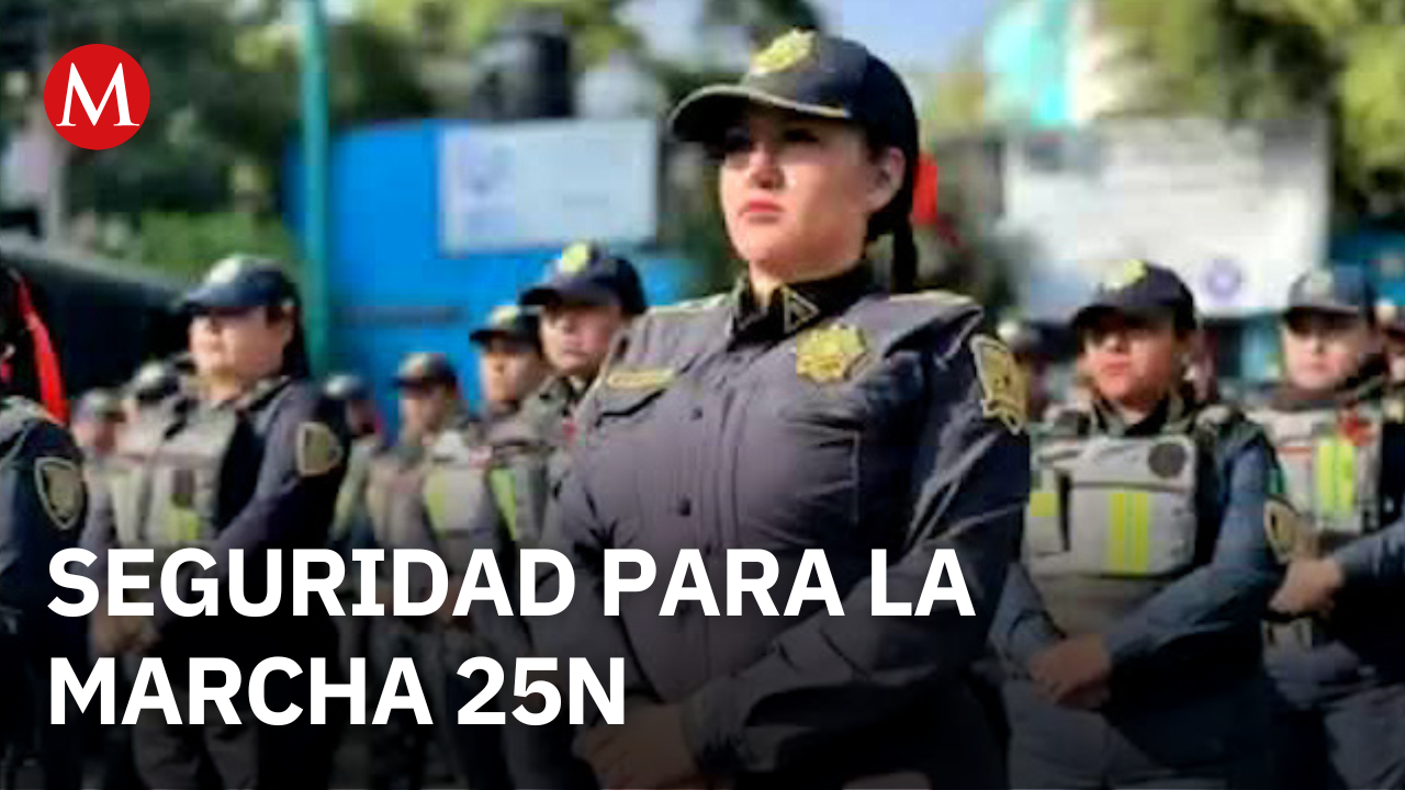 Seguridad anuncia operativo de protección y contención para la marcha del 25N