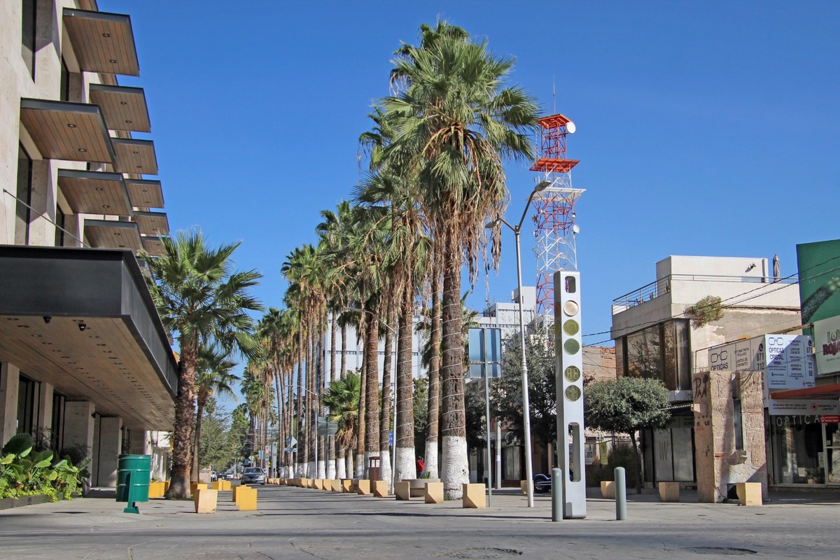 En Torreón, socializan Proyecto de Regeneración del Paseo Morelos. (Verónica Rivera)