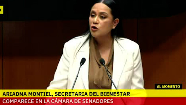 Ariadna Montiel, secretaria del Bienestar, comparece en la Cámara de Diputados