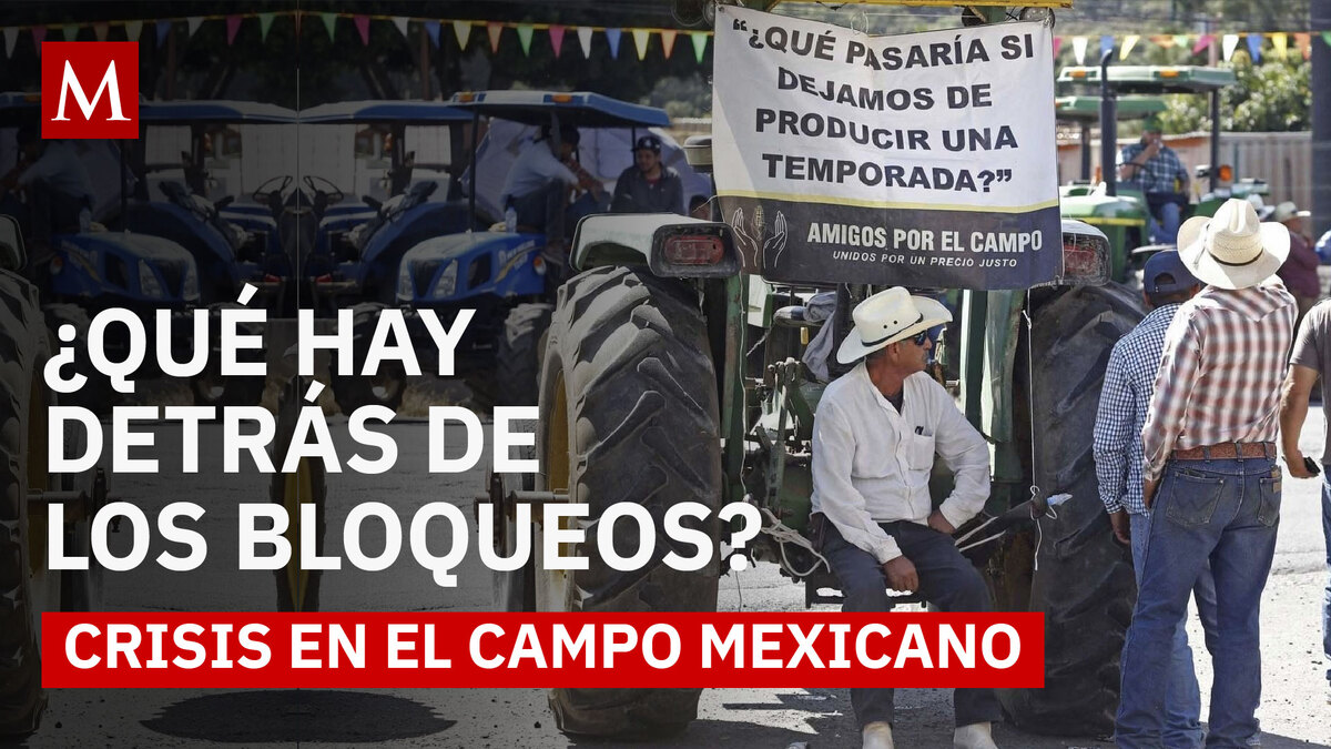 Crisis agrícola en México: costos al alza, precios a la baja y un sector al borde del colapso