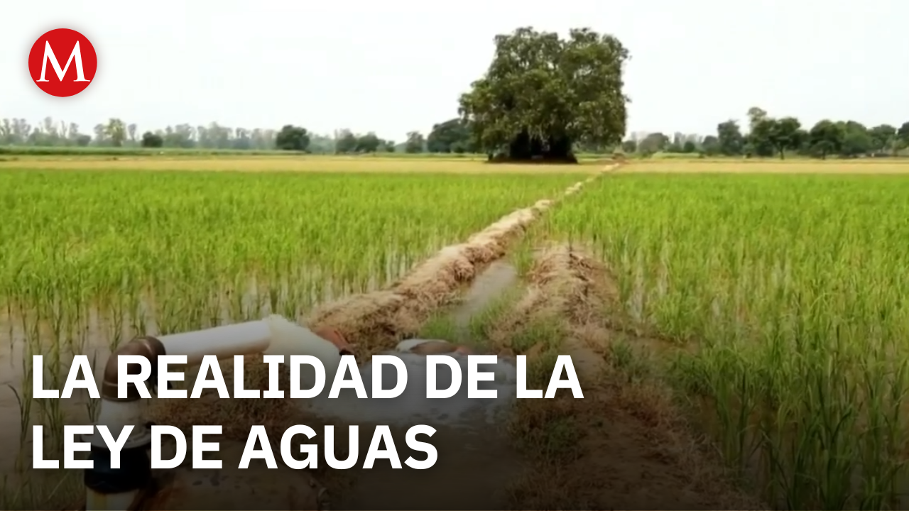 Diputada Elizabeth Cervantes esclarece dudas sobre la nueva Ley de Aguas