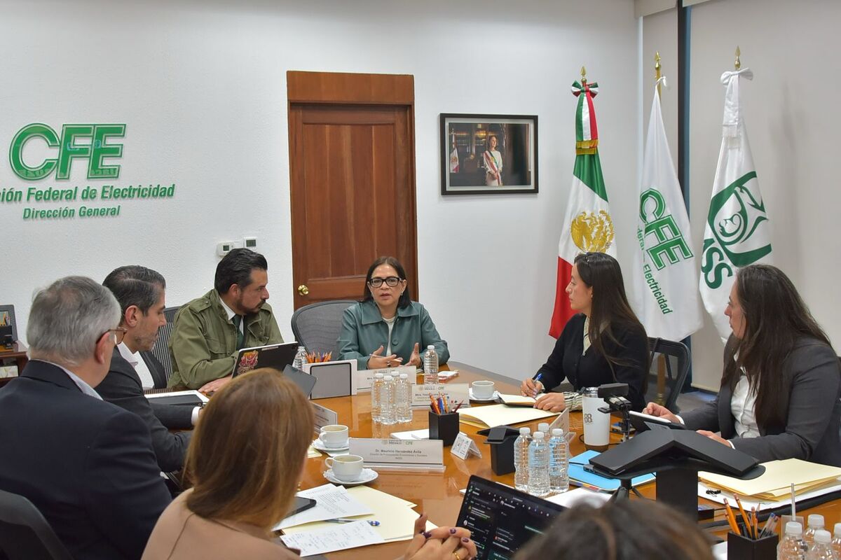 IMSS Y CFE colaboran para garantizar servicios institucionales