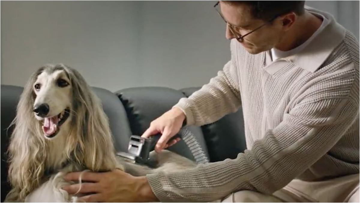 ¿Aspirar a tu perro? Ésta es la aspiradora que elimina el pelo de perro y que tendrá descuento en el Black Friday