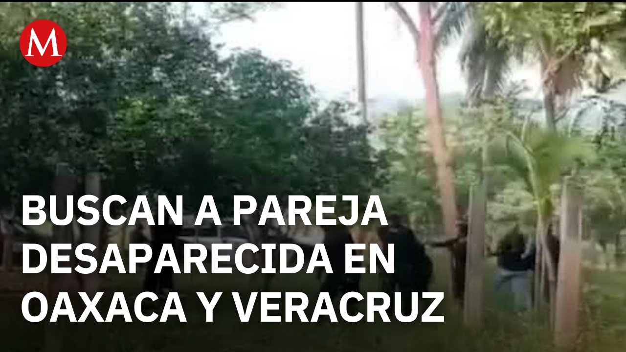 Buscan a pareja desaparecida con binomios caninos en Oaxaca y Veracruz tras 5 meses