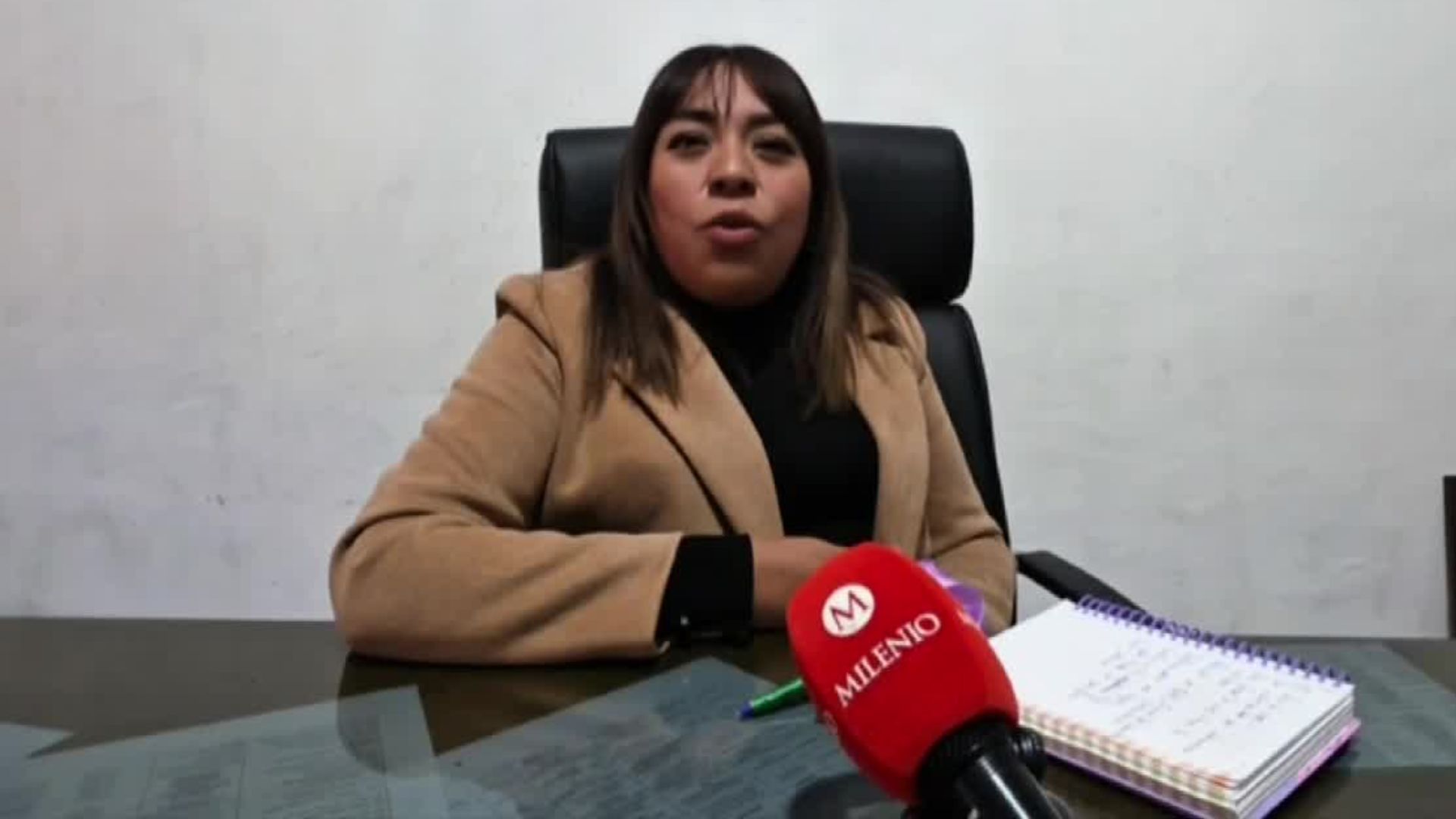 Enrique Estrada, alcalde de Tetepango, es acusado por su esposa de violencia familiar