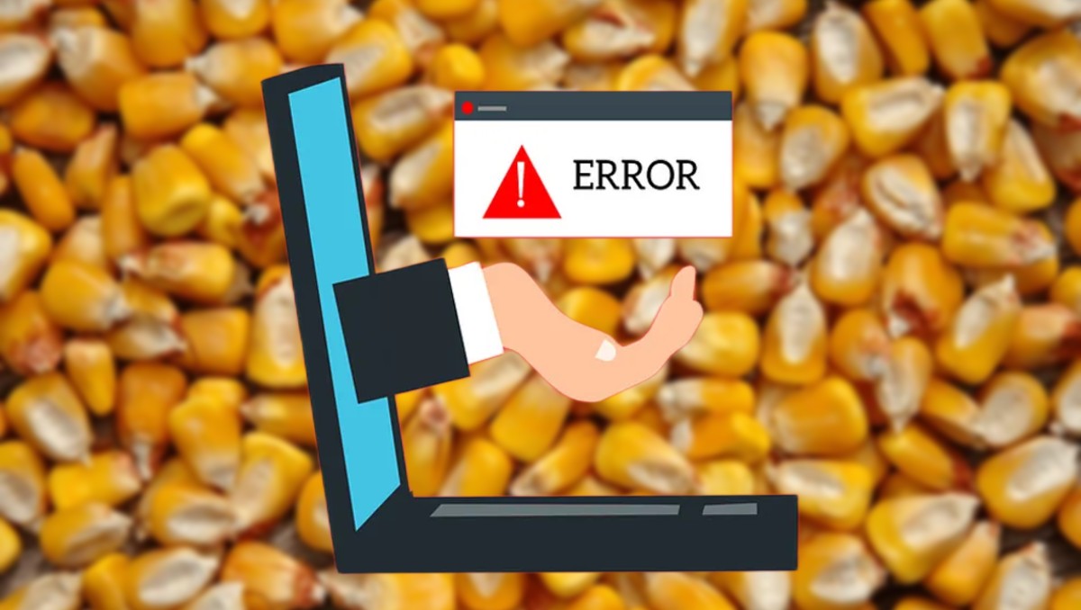 Guanajuato: falla en plataforma dejaría sin apoyo a agricultores | Especial