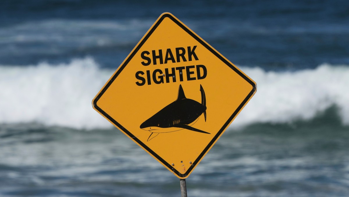 La playa fue cerrada al público tras el ataque. | AP