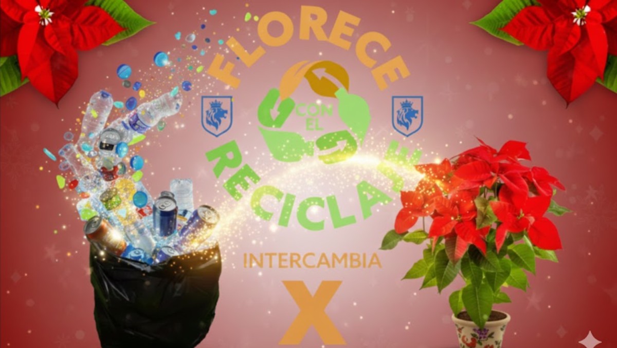 León intercambiará materiales reciclables por nochebuenas gratis. | Imagen creada con IA.