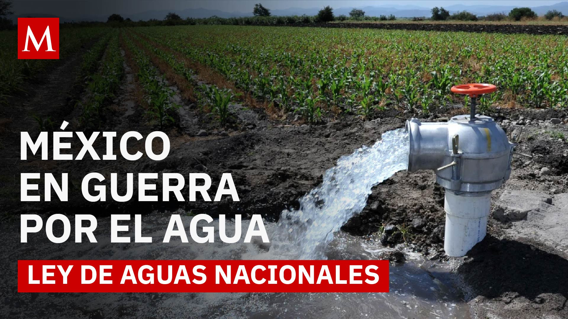 Nueva Ley de Aguas Nacionales: por qué los campesinos rechazan la reforma hidráulica