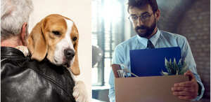 La muerte de una mascota y la pérdida del trabajo son los dos tipos de duelos reconocidos más comunes