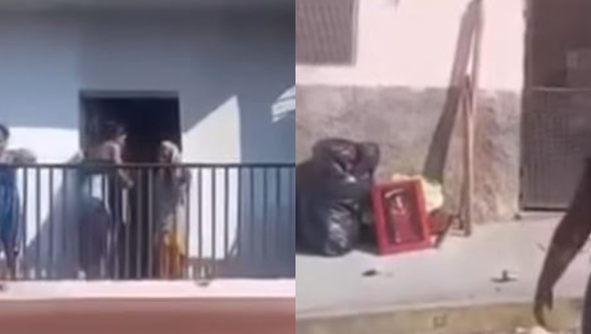 Mujer lanza a perrito desde un balcón tras conflicto con inquilinos en Chiapas