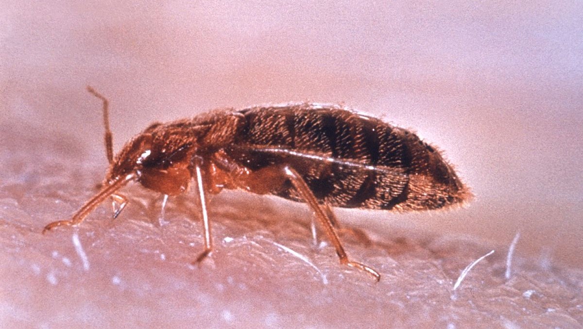 Un descubrimiento que ha sorprendido por los alcances que tiene | Especial