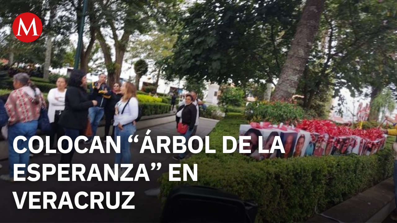 En Veracruz, colocan el "Árbol de la Esperanza"; tiene 40 fotos de personas desaparecidas