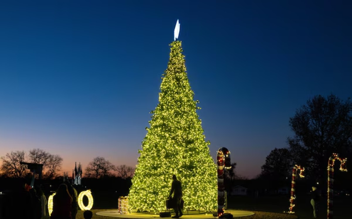 El primer miércoles de diciembre, el tradicional Encendido del Pino será el momento estelar con el que arrancará Viveros Mágico 2025.