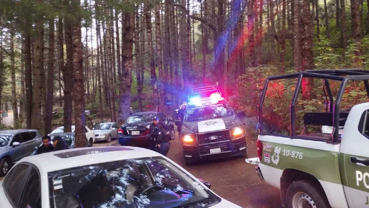 Las autoridades señalan que son comunes los reportes por desorientación en el bosque. Foto: (Especial)