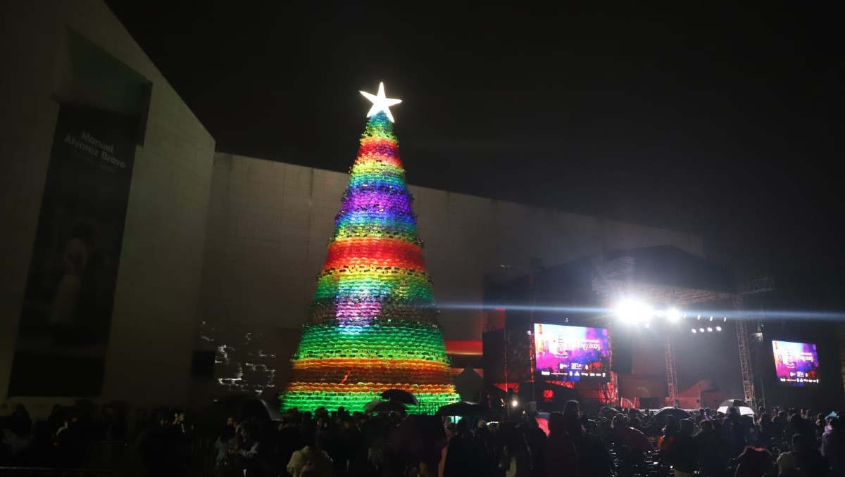 Familias asistieron con impermeable y paraguas para presenciar el encendido del pino. Foto: Luis Guerra