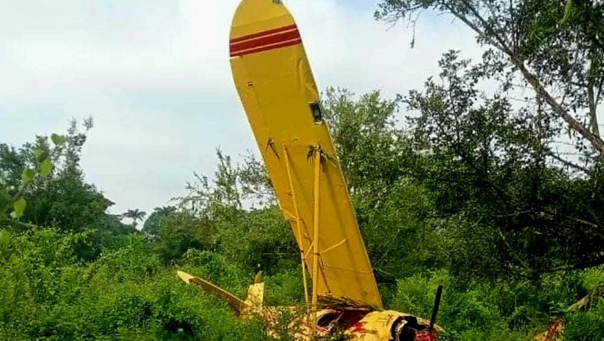 Aparentemente se desplomó por una falla mecánica. | Foto: Especial