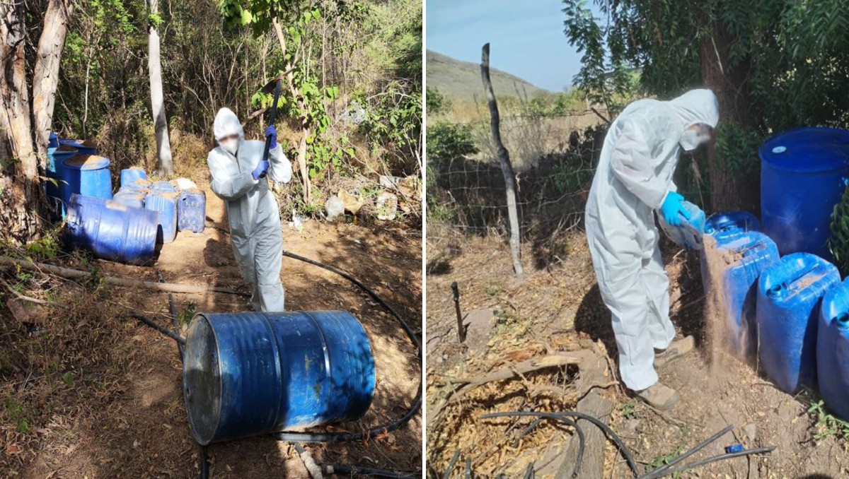 Autoridades localizaron áreas de concentración de droga en Sinaloa. | Especial