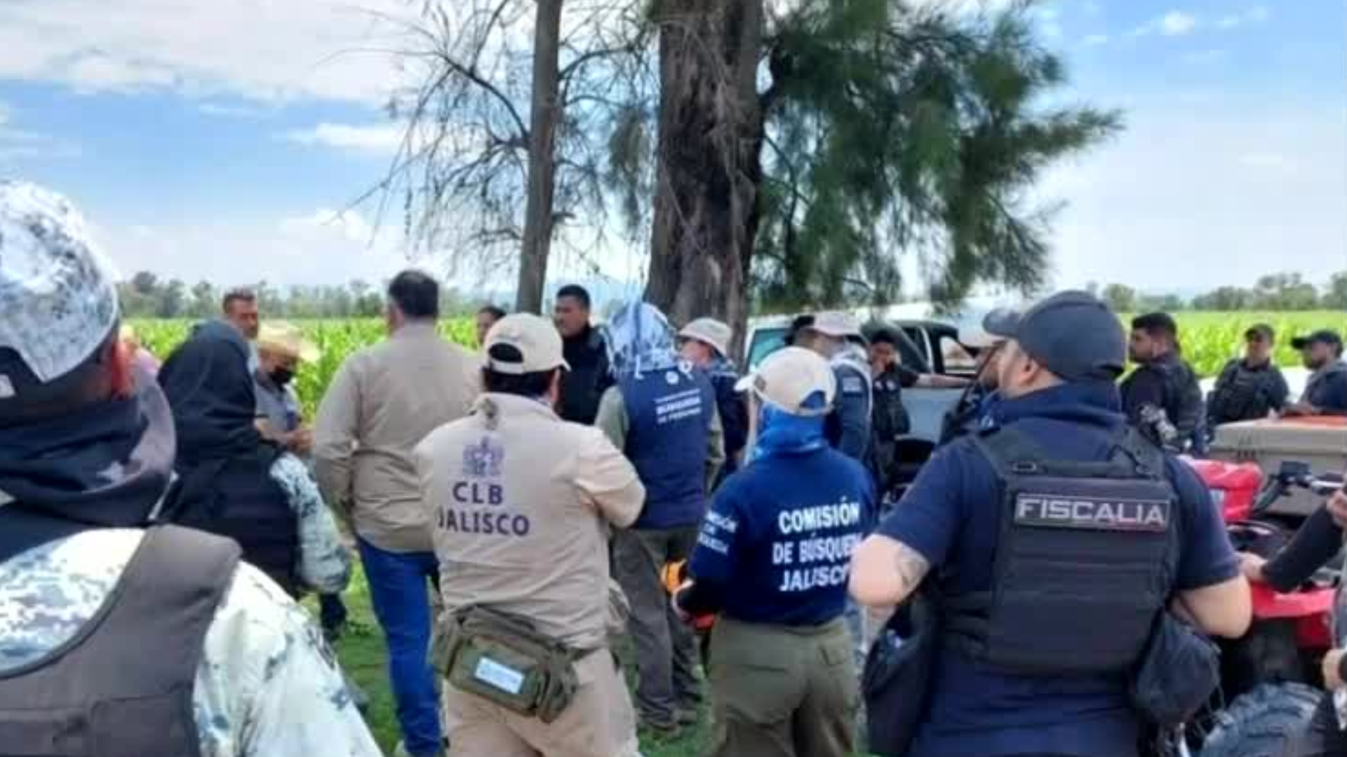 Cuatro piperos de Tamaulipas podrían haber desaparecido por el crimen organizado