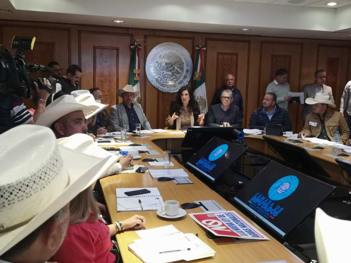 Kenia López garantiza debate abierto, plural y sin 'fast-track' sobre Ley de Aguas