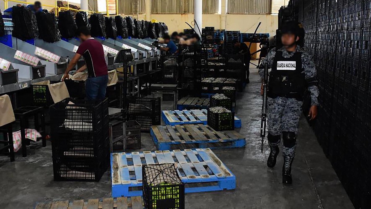 Caen ocho personas en Michoacán en las últimas 48 horas: gabinete de seguridad