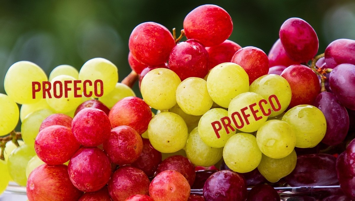 ¿Subirá por las Fiestas Decembrinas? Éste es el costo promedio de las uvas en México, según Profeco