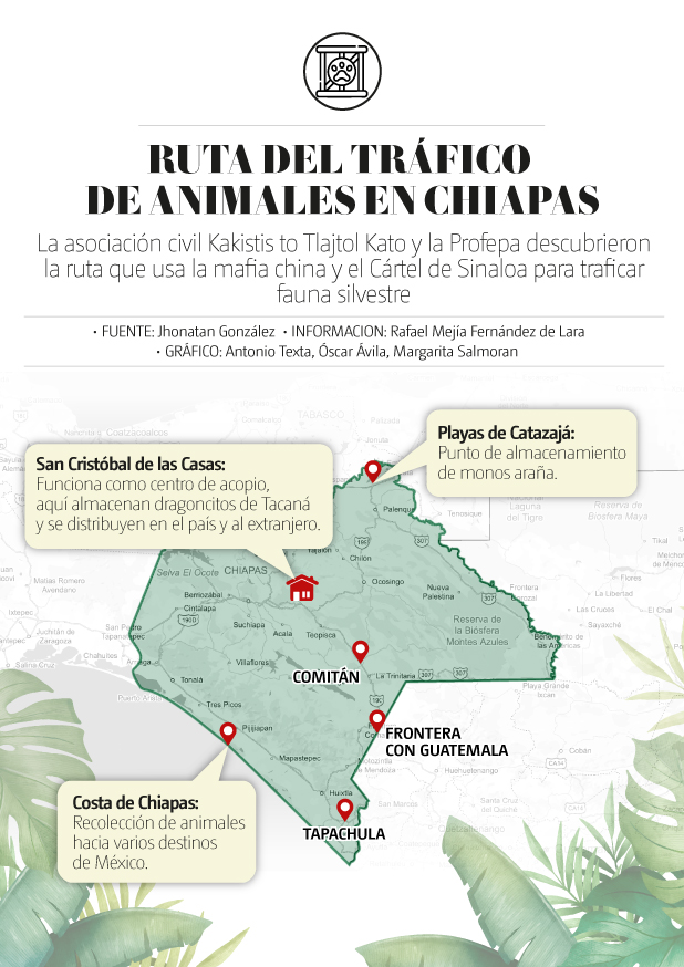Ruta de tráfico de animales
