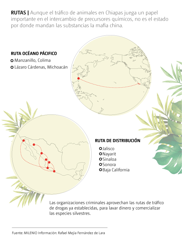 Rutas de distribución