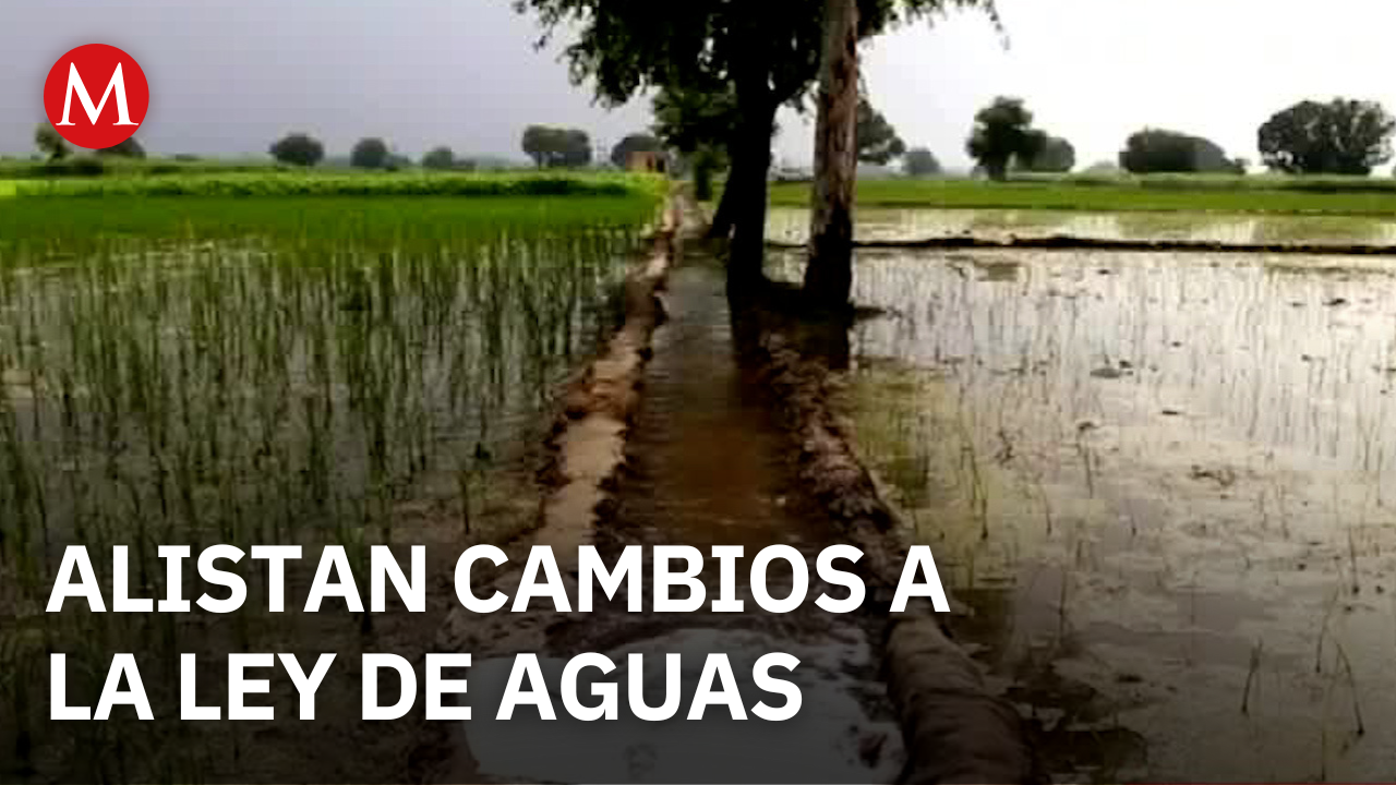 Diputados alistan cambios a la Ley de Aguas tras presión de campesinos