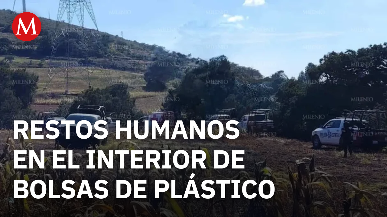 Encuentran bolsas de plástico con restos humanos en su interior, Puebla