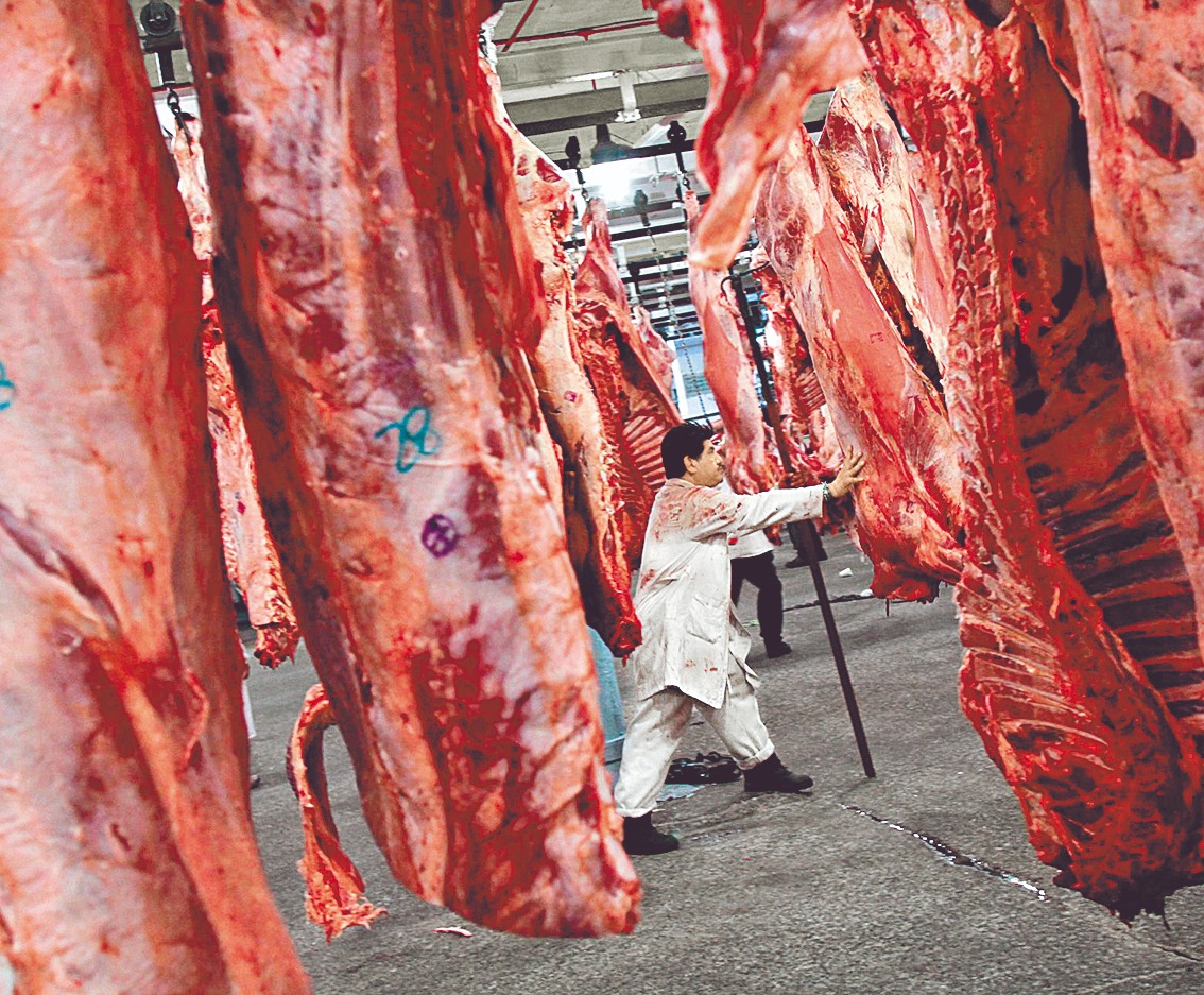 España lucha por proteger la industria ante peste porcina