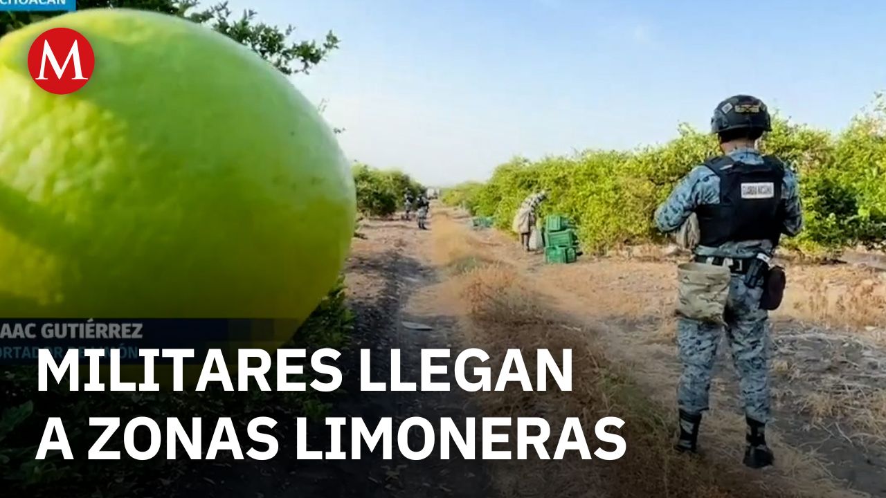 Más de diez mil militares operan seguridad a favor de limoneros en Michoacán