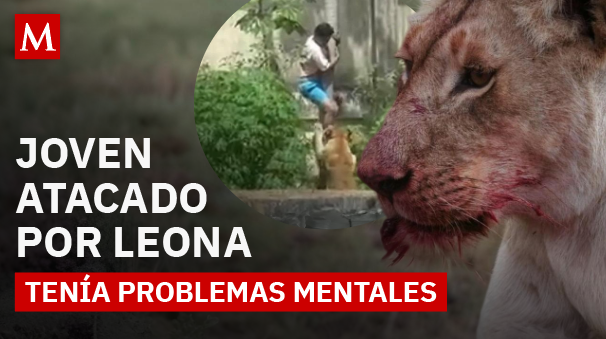 ¿Por qué entró a la jaula de la leona? Revelan nueva información sobre el joven