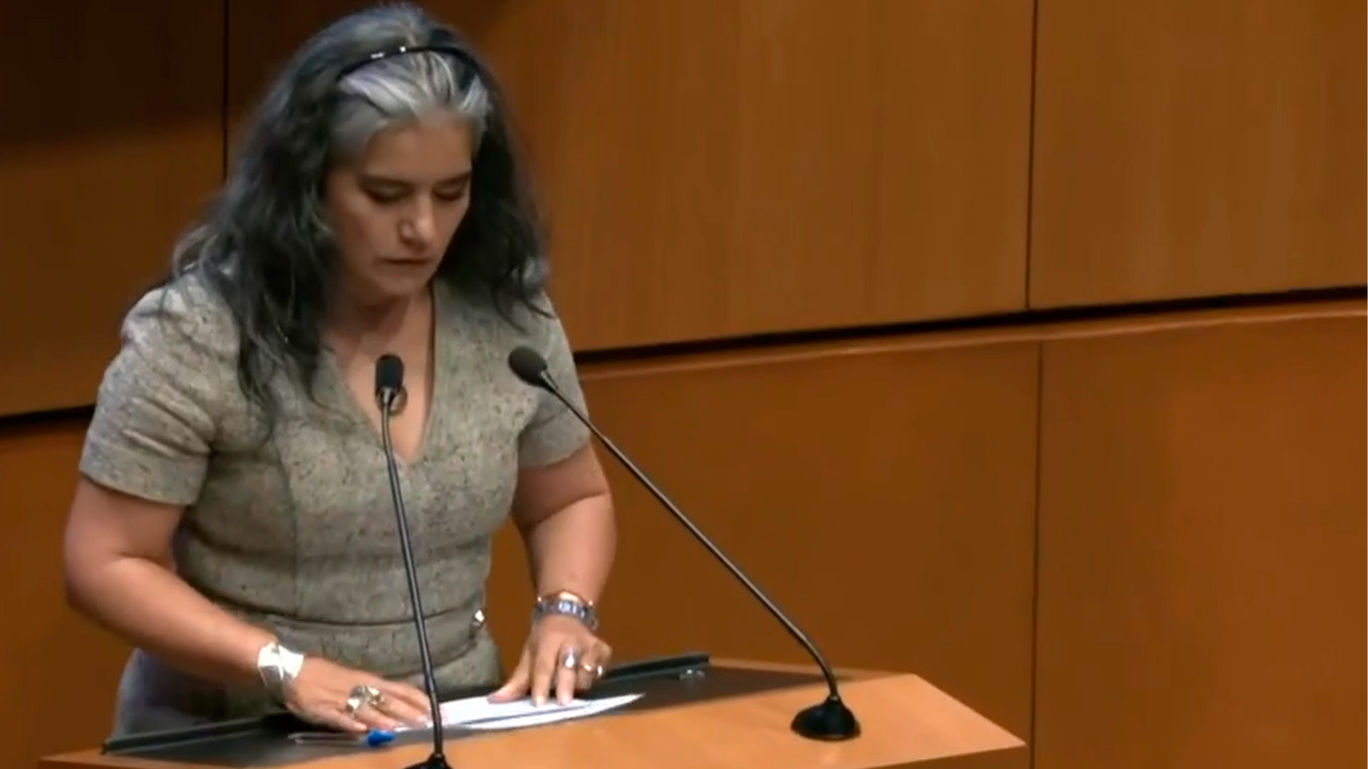 Luz María Zarza comparece en el Senado por su candidatura a titular de la FGR