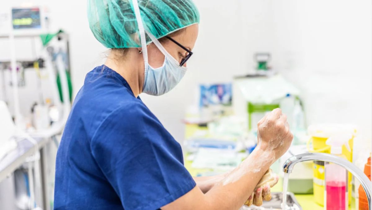 A nivel nacional, con corte a la semana 45, solo se registra un alza del 16.3 por ciento | Especial