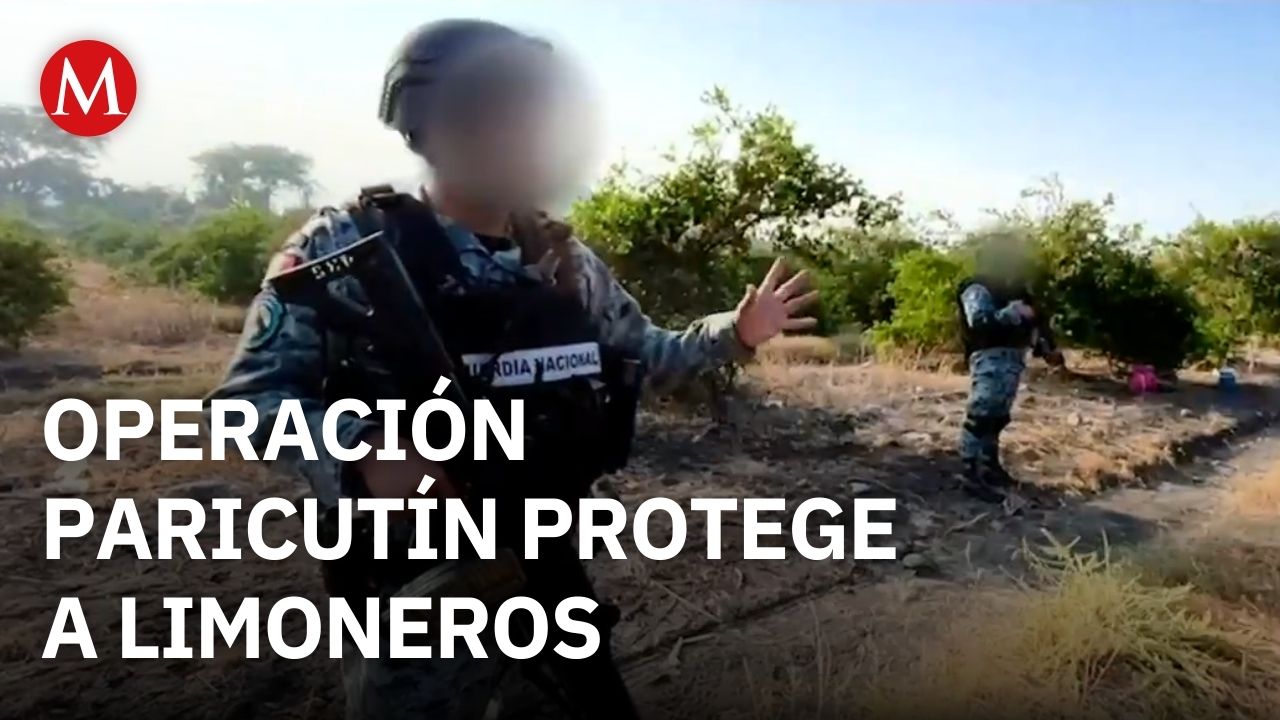 Operación Paricutín: parte del Plan Michoacán para proteger a productores limoneros