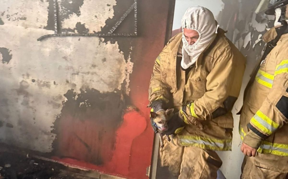 Todo indica que el incendio se derivo por un cortocircuito.