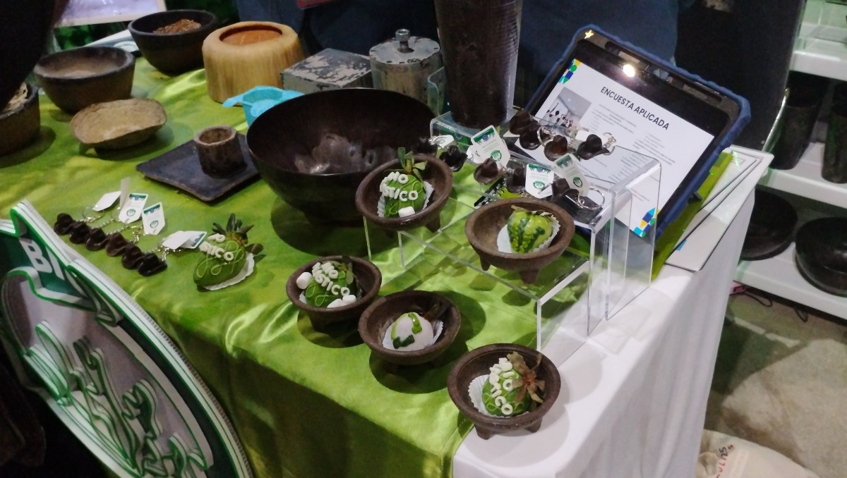 Alumnas de Matamoros elaboraron utensilios a través de algas marinas captadas en costas de Tamaulipas. (Víctor Durán)