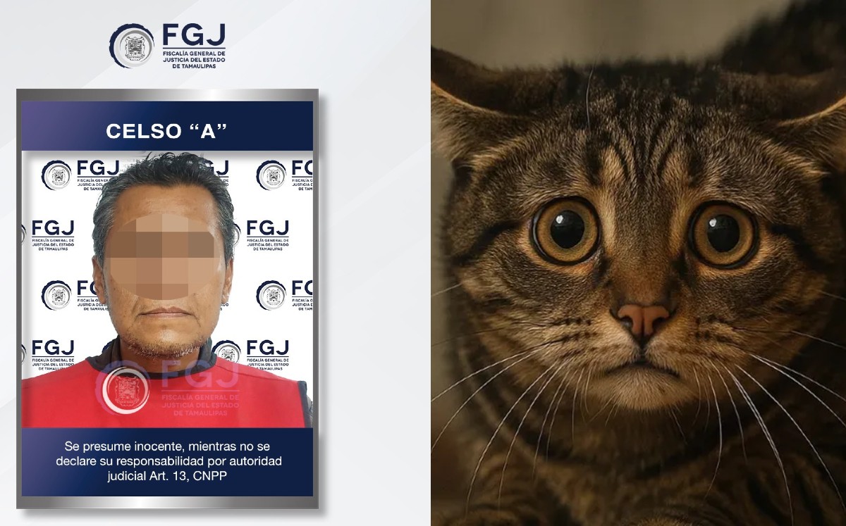 Celso "A" es vinculado a proceso. | FGJT