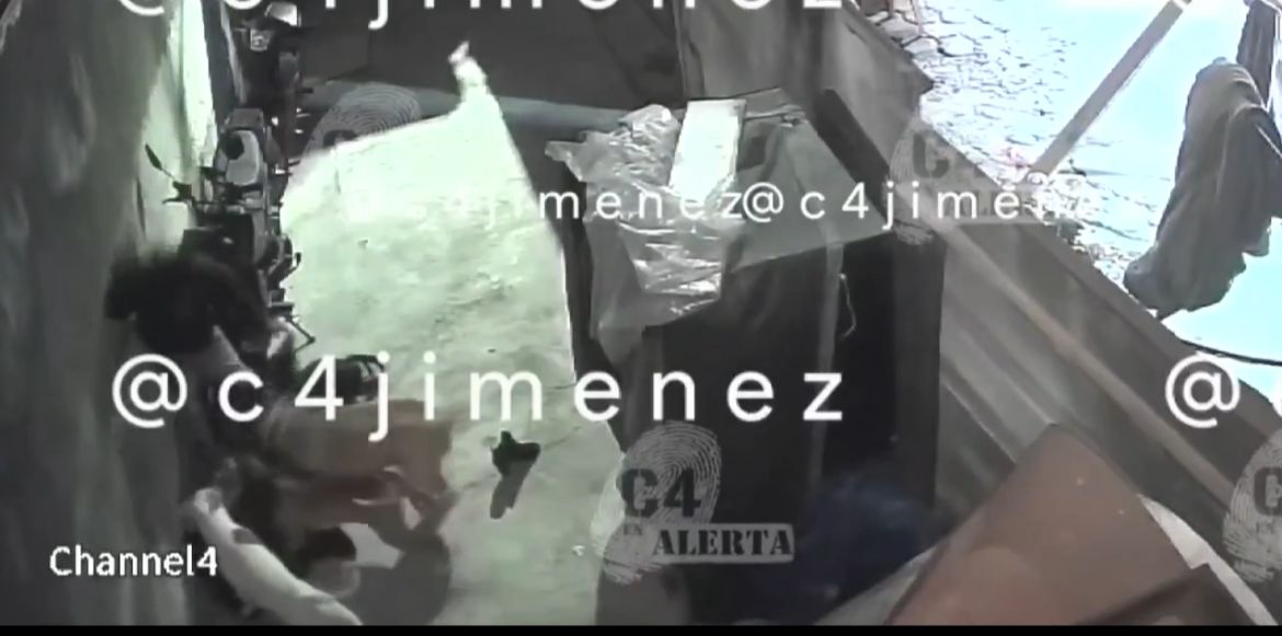 Los dueños de los perros no apoyaron a la víctima. (Foto: especial)