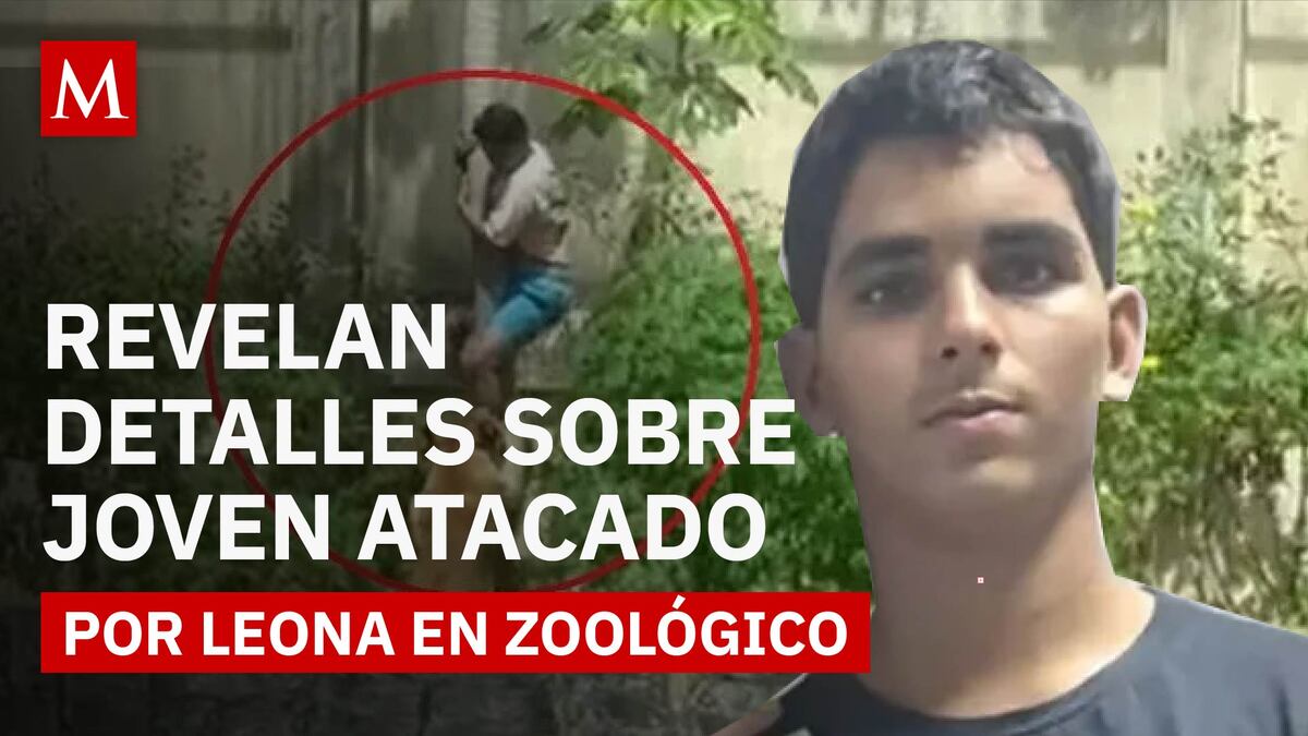 ¿Por qué entró a la jaula de la leona? Revelan nueva informa