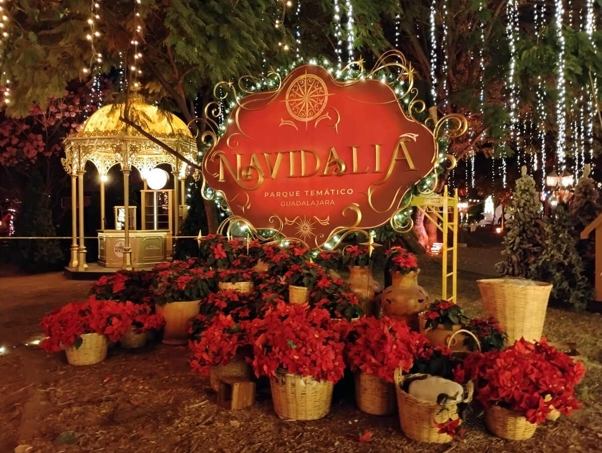 Navidalia 2025. (Milenio)