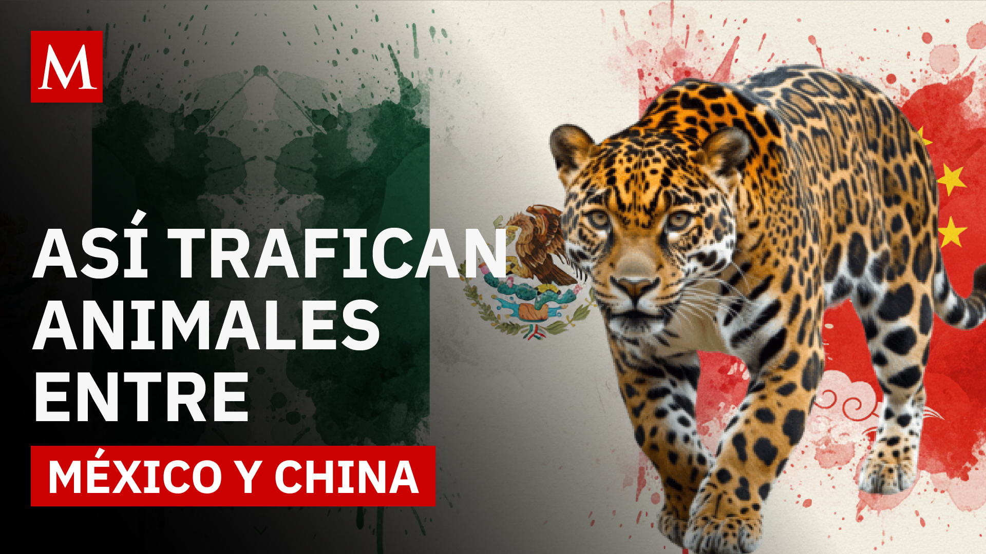 La red de tráfico ilegal que conecta a México con China