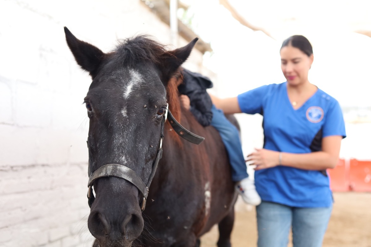 Equinoterapia en La Laguna, mayoría de niños atendidos tienen TDAH. (Verónica Rivera)