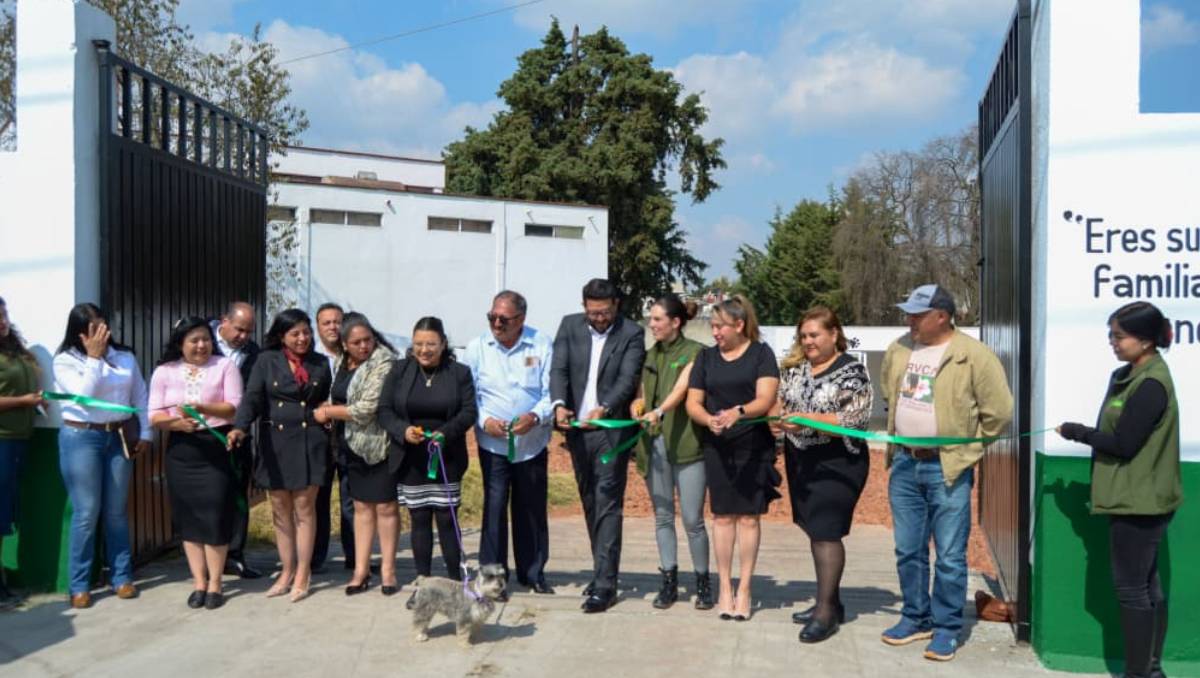 El gobierno municipal fortalece las estrategias para reducir la sobrepoblación de perros en situación de calle. Especial