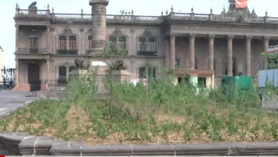 Secretaría de Medio Ambiente de NL pone en marcha nuevo proyecto de arborización